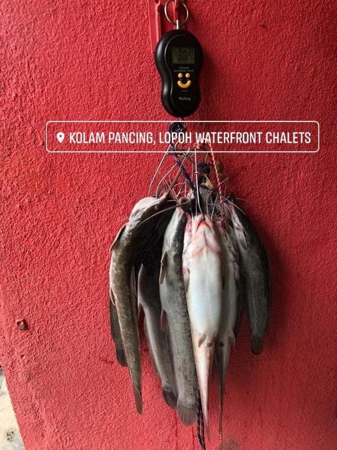 Lopoh Waterfront Budget Chalets Willa Hulu Langat Zewnętrze zdjęcie